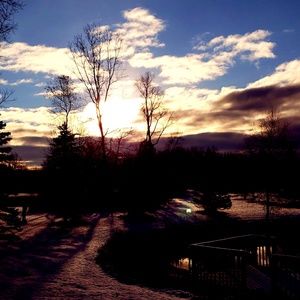 Meet your Posher, Jeanette